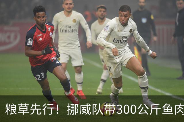 粮草先行！挪威队带300公斤鱼肉+116公斤奶酪赴美踢世界杯